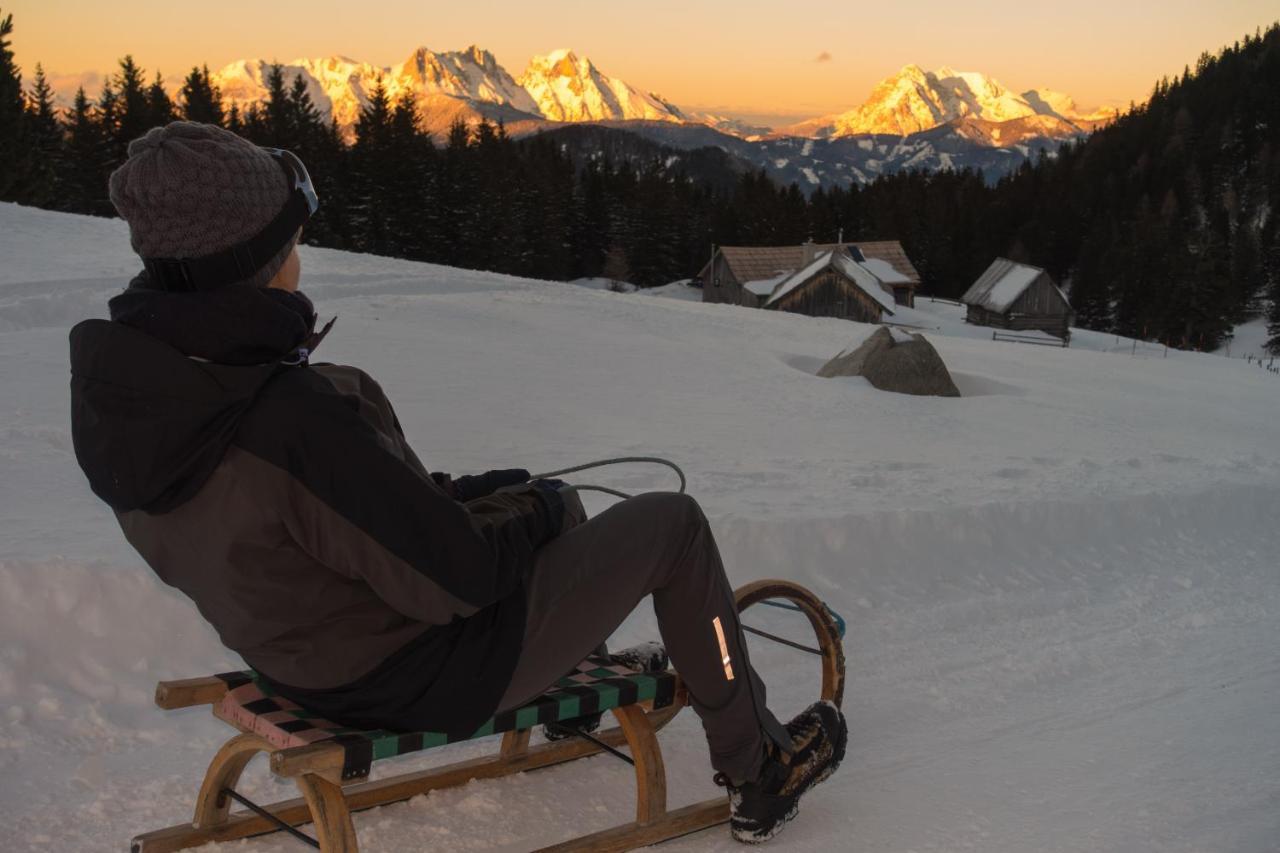 Chalet Triebenstein Villa Hohentauern Eksteriør billede